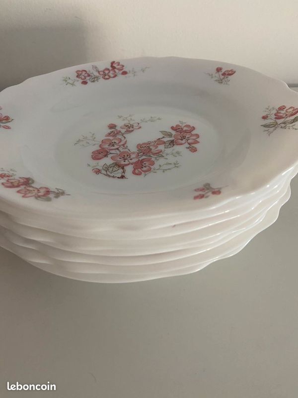 Lot De 8 Assiettes Creuses Arcopal France - Motif Fleur - Vintage