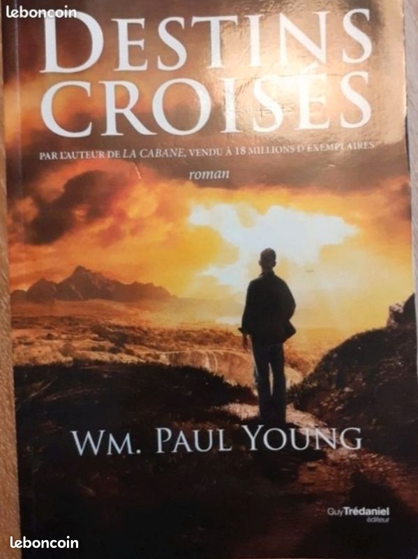 Lot×2 W Paul Young La cabane + Destins croisés (image 3)
