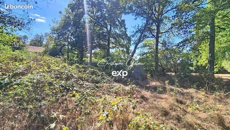Propriété 3 pièces 120 m²