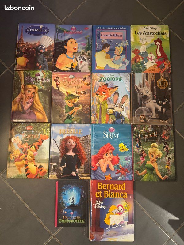 Lot 14 livres Disney (image 1)
