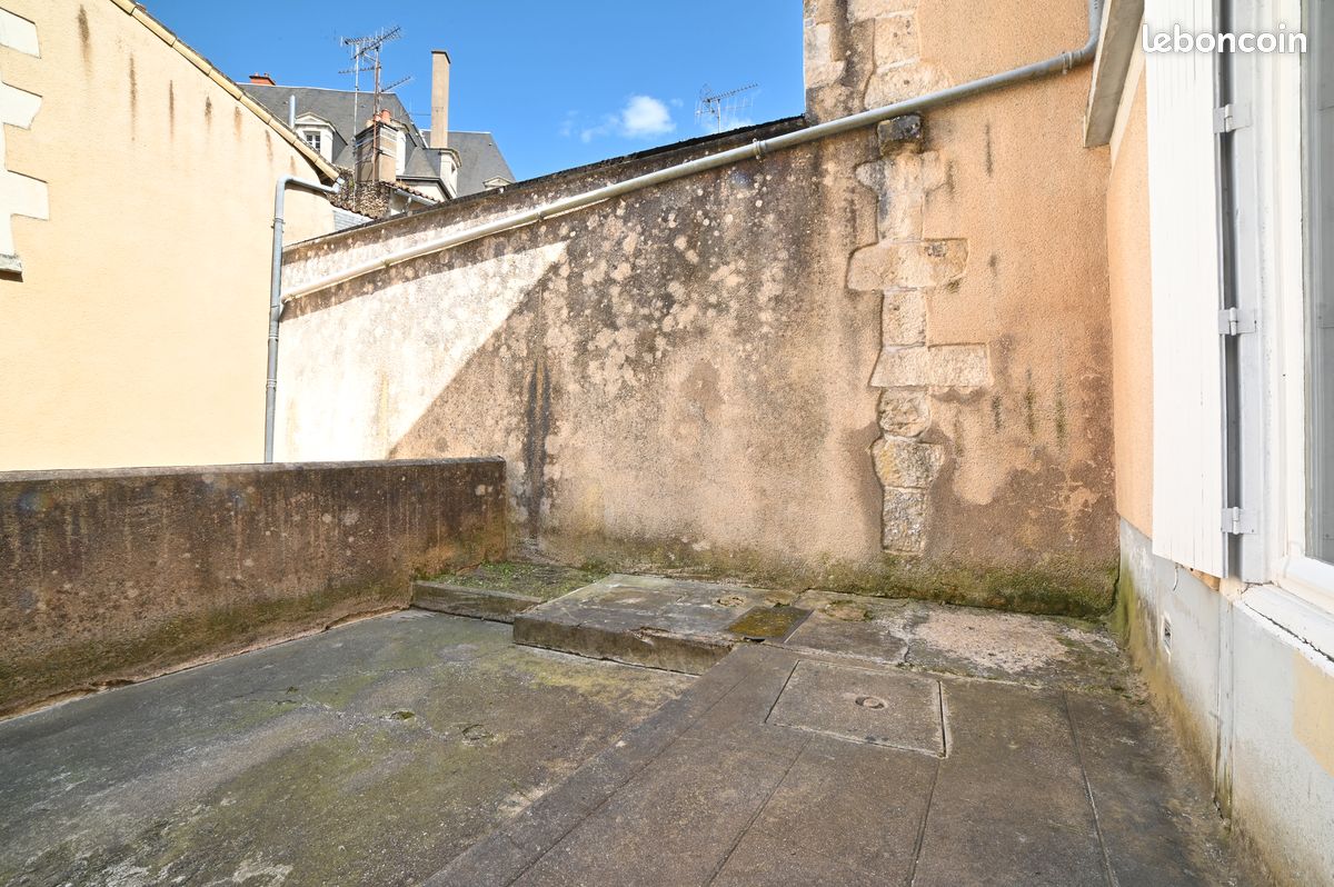 Studio + terrasse privée hyper centre Poitiers - Poitiers 86000 (image principale 6)