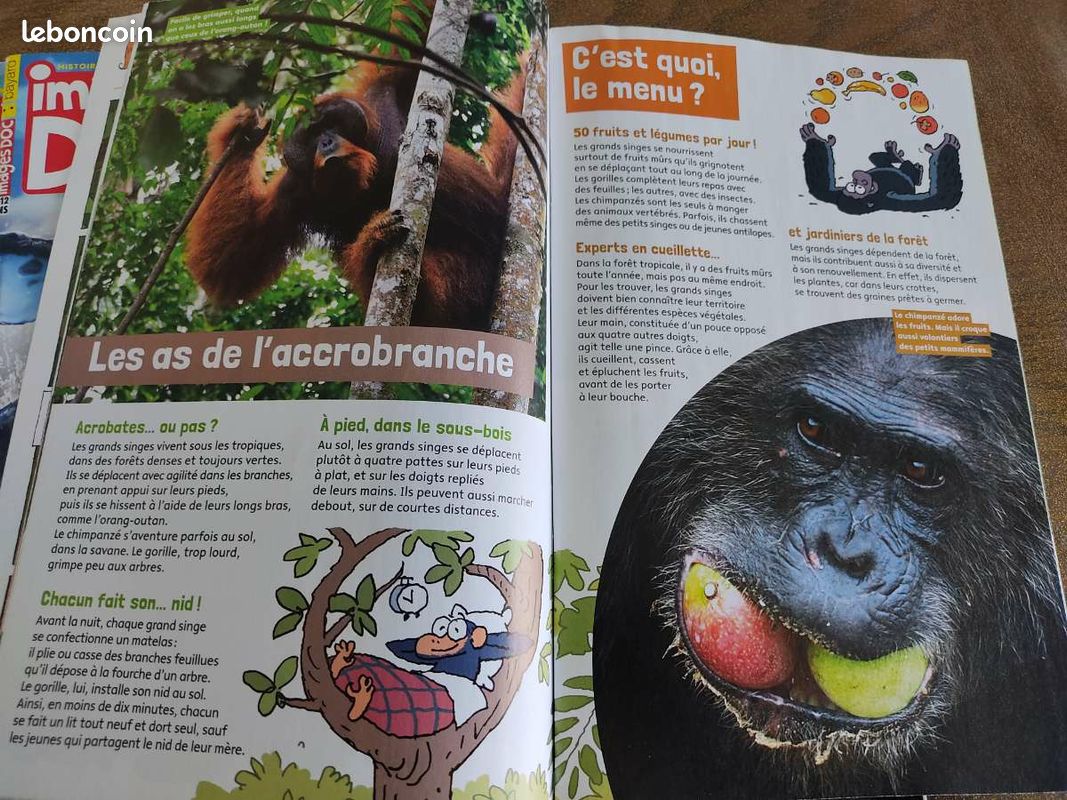 Magazines "image doc" (image 2)