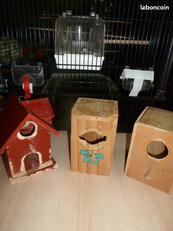 Cage à oiseaux (image 3)