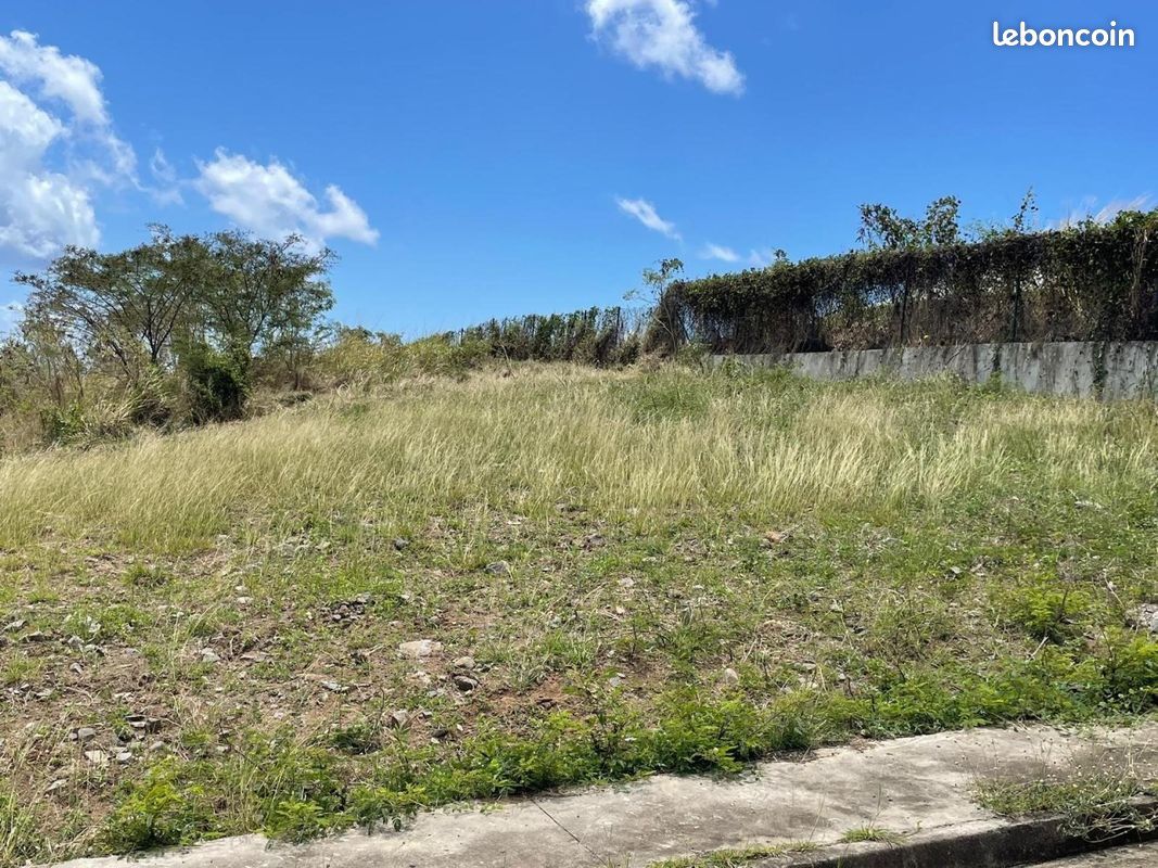 Terrain 601 m² LE DIAMANT (image 10)