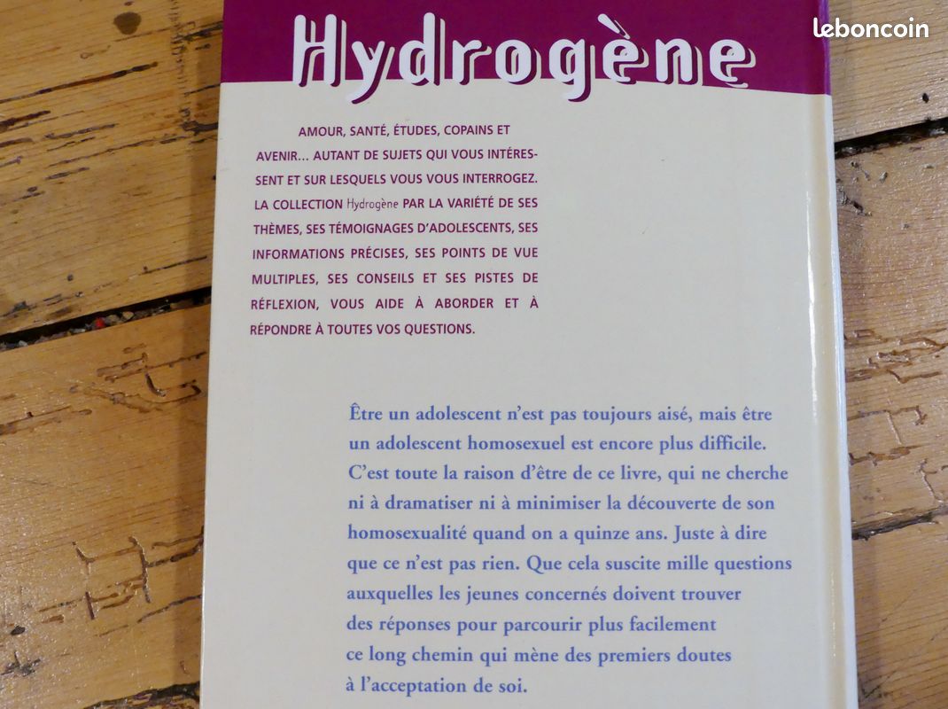 Et si j'étais homo ? Pour jeunes/bi/trans/parents (image 2)