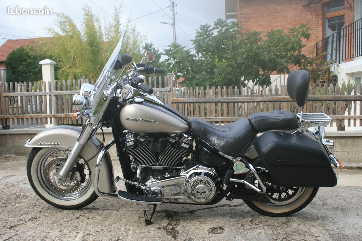 Harley softail deluxe (image 1)