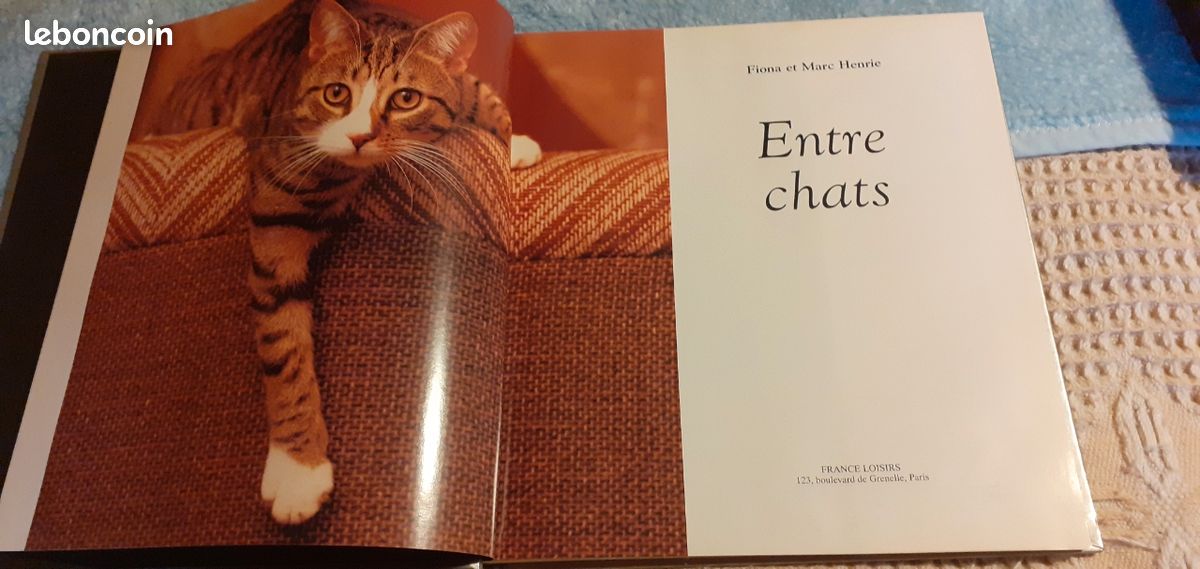 Livre Entre Chats (image 3)