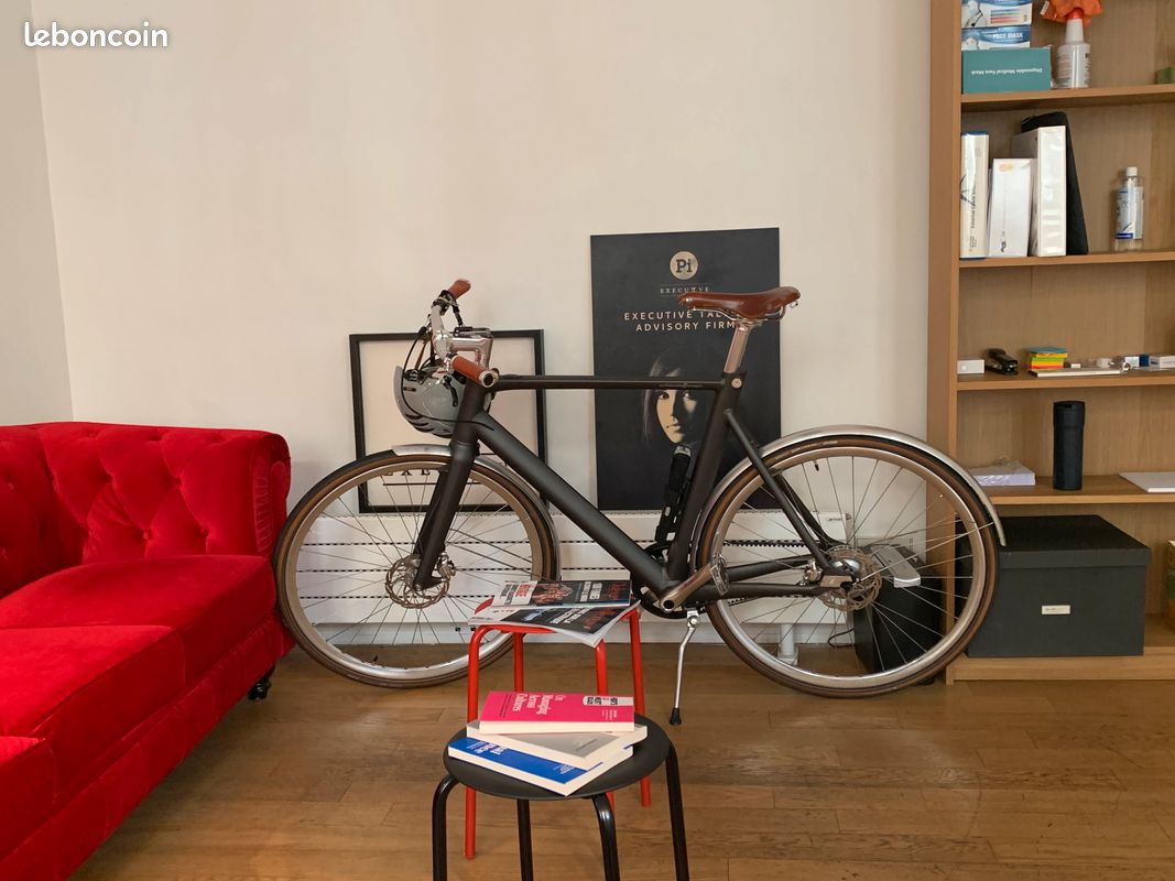 Schindelhauer Arthur Vélo Électrique (image 1)