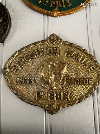 Plaque Concours Canin Du Sud Est - 1er Prix Montrond Les Bains, Bleue