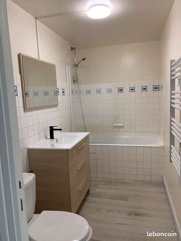Appartement t2 - Limoges 87000 (image principale 2)