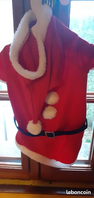 Vêtements Noël pour chien (image 3)