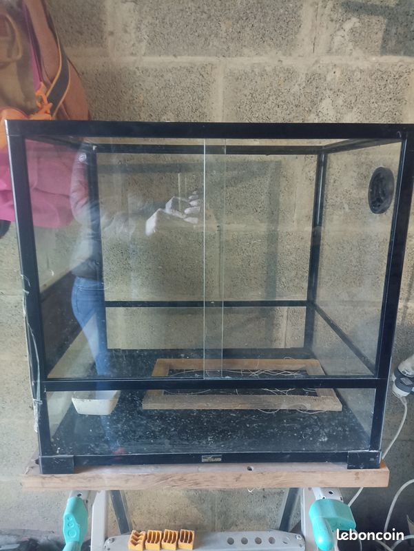 Reptilarium (image 1)