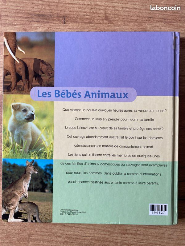Livre bébés animaux (image 2)