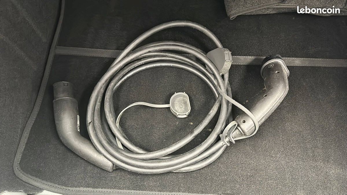 Dacia spring expression (image 22)