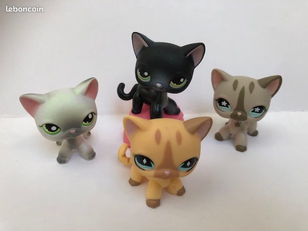 Lps Chat Europeen Noir Et Blanc Lps Chat Europeen Noir Et Blanc