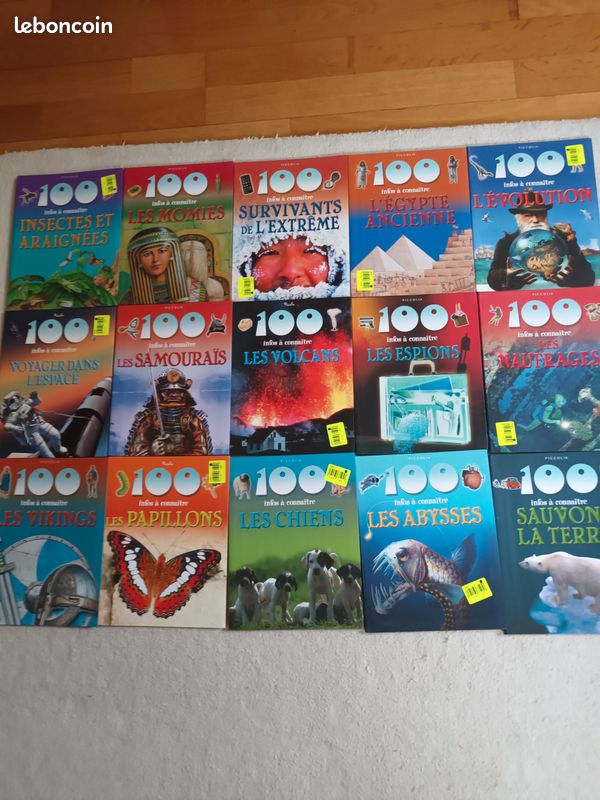 100 infos à connaître PICCOLIA (image 1)