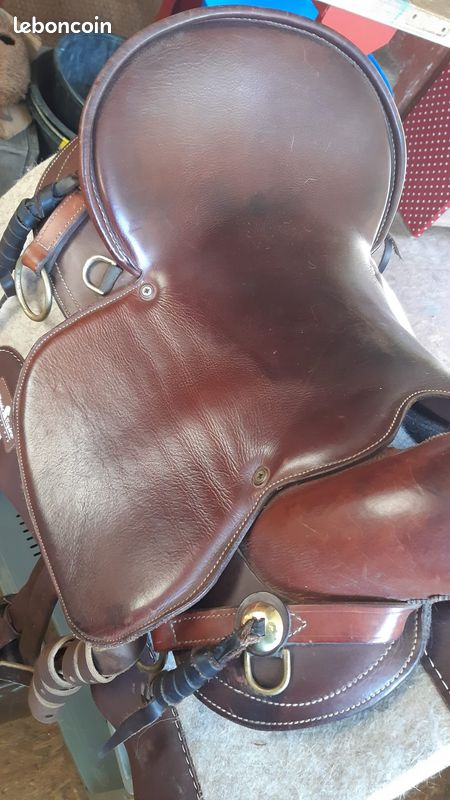 Semi Précieux Pierre Jaspe Rouge Cheval Paire Main Gravé Décor Cadeau