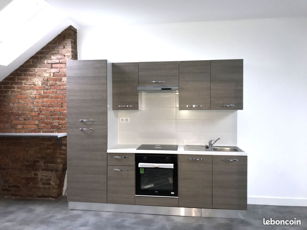 Studio meublé loc courte du 17 mai au 1er juillet - Limoges 87000 Centre-Hôtel de Ville Emailleurs (image principale 0)