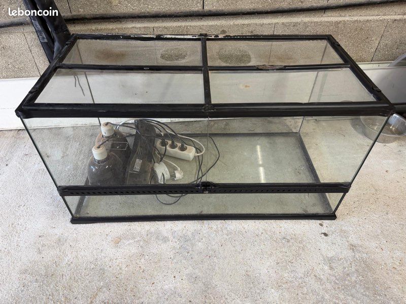 Terrarium (image 2)