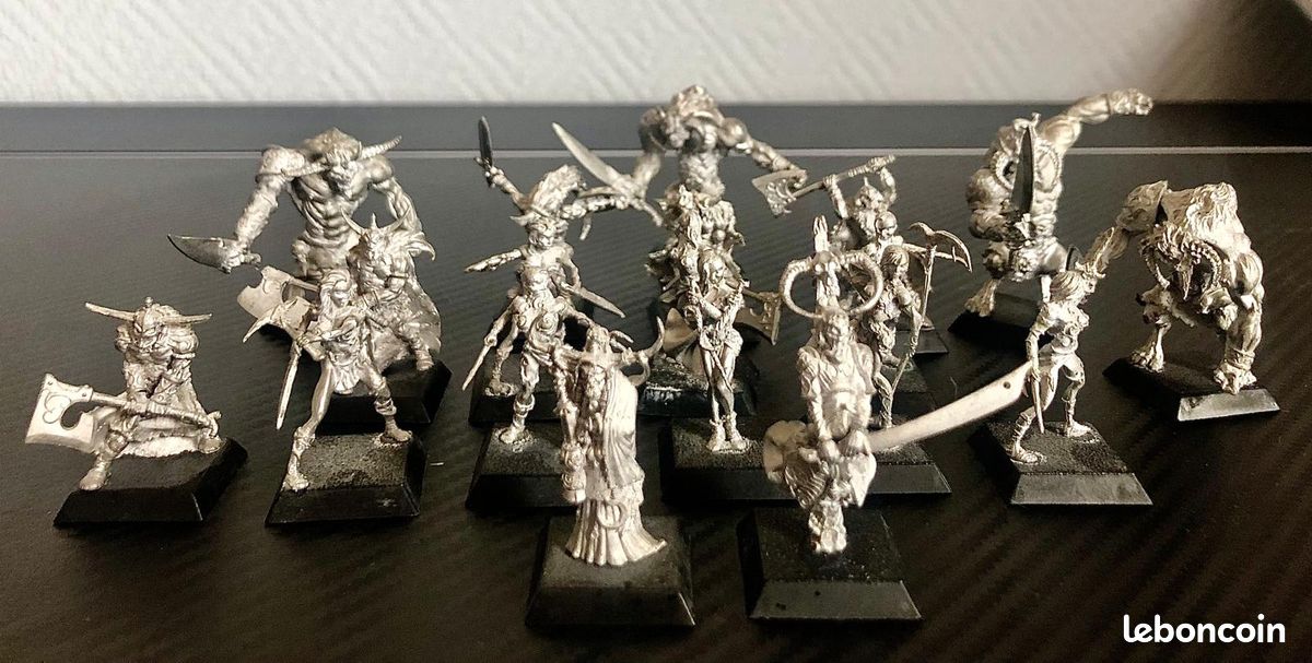 Lot De Figurines Confrontation Rackham – Peintes + Cartes – Occasion