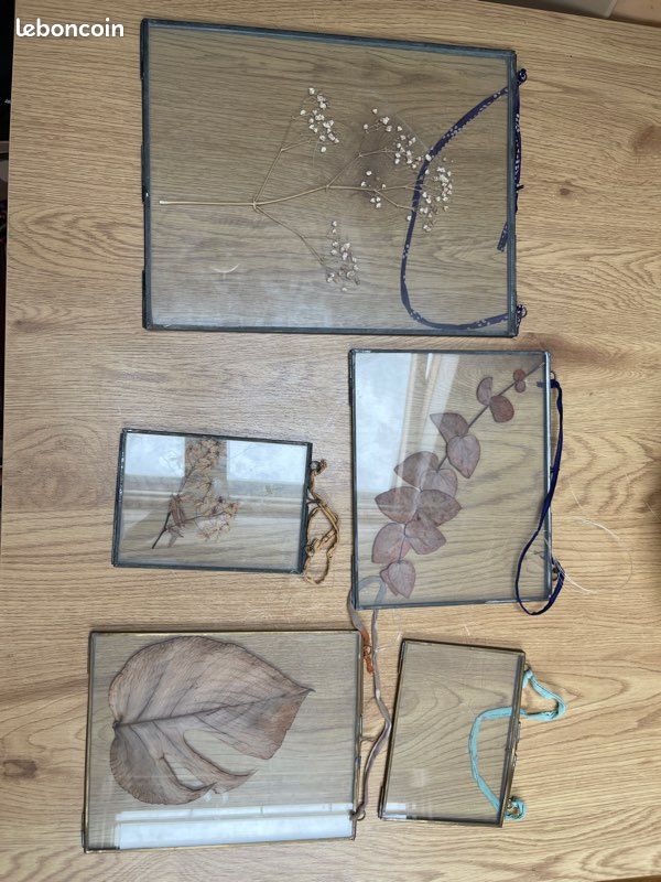 Cadre photo transparent (image 3)