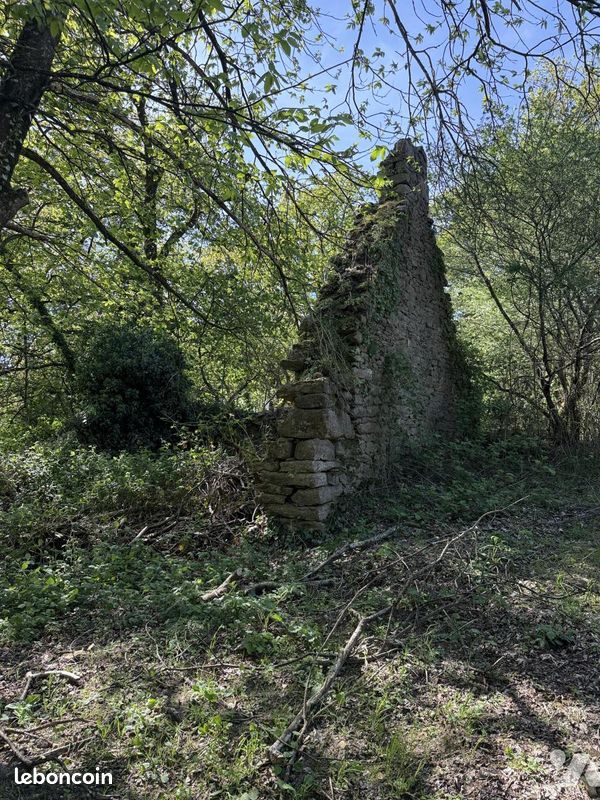 Maison 40 m² ST GILLES DU MENE (image 4)