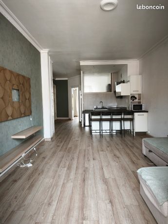 Appartement traversant proche europole — 1