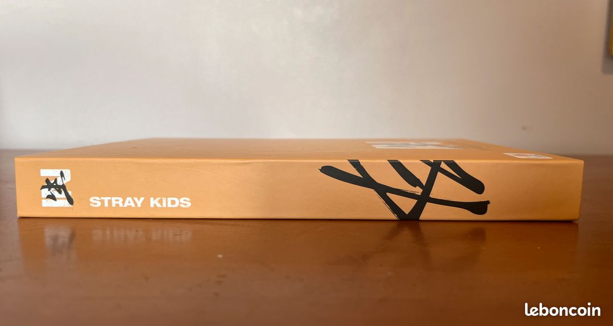 Stray kids album "In Life" (image 7)