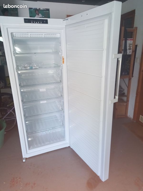 Congelateur armoire WHIRLPOOL 303L (image 3)