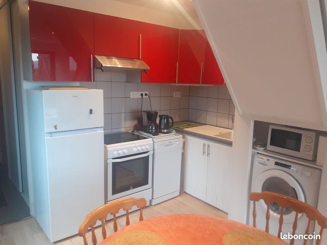 F3 en duplex avec grande terrasse (image 4)
