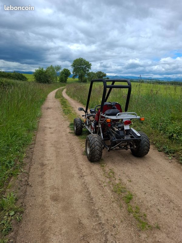 Buggy roxon (image 3)