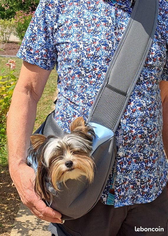 Sac promenade chiens Accessoires animaux