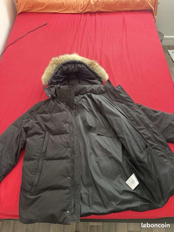 Canada Goose (image 1)