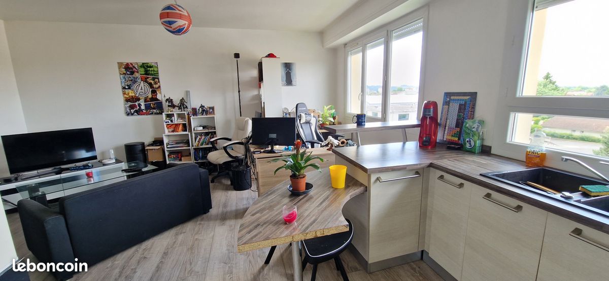 Appartement 2 pièces 44 m² - Pau 64000 (image principale 3)