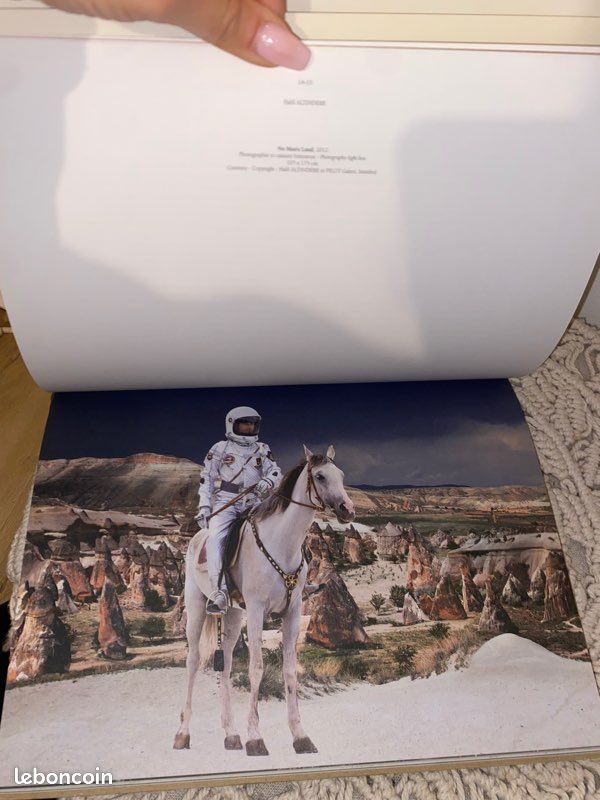 Livre Louis Vuitton (image 3)