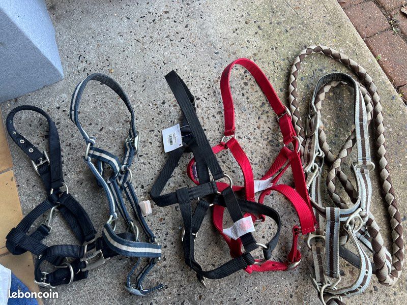 Don affaires équitation (image 3)