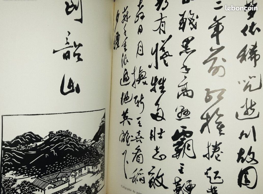 TROIS ANS EN CHINE - dédicacé par l'auteur PATRICE FAVA - Photos de CHANTAL FAVA (image 9)