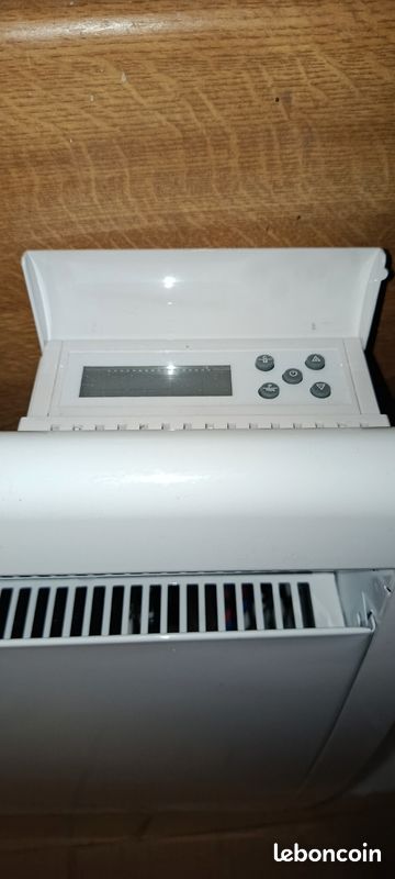 Radiateur électrique à inertie sèche fonte 1000W haute performance économique (image 1)