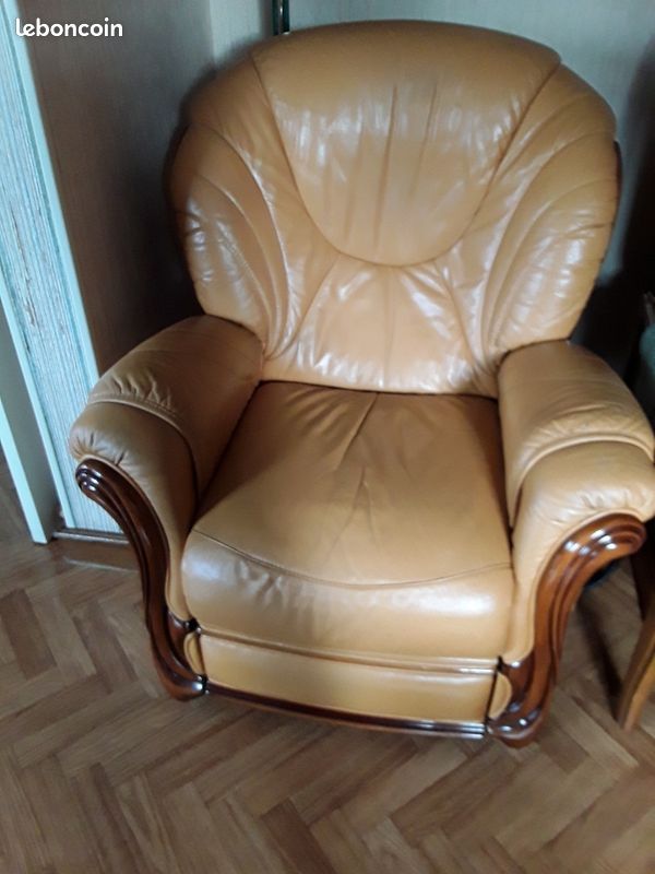 Fauteuil électrique (image 1)