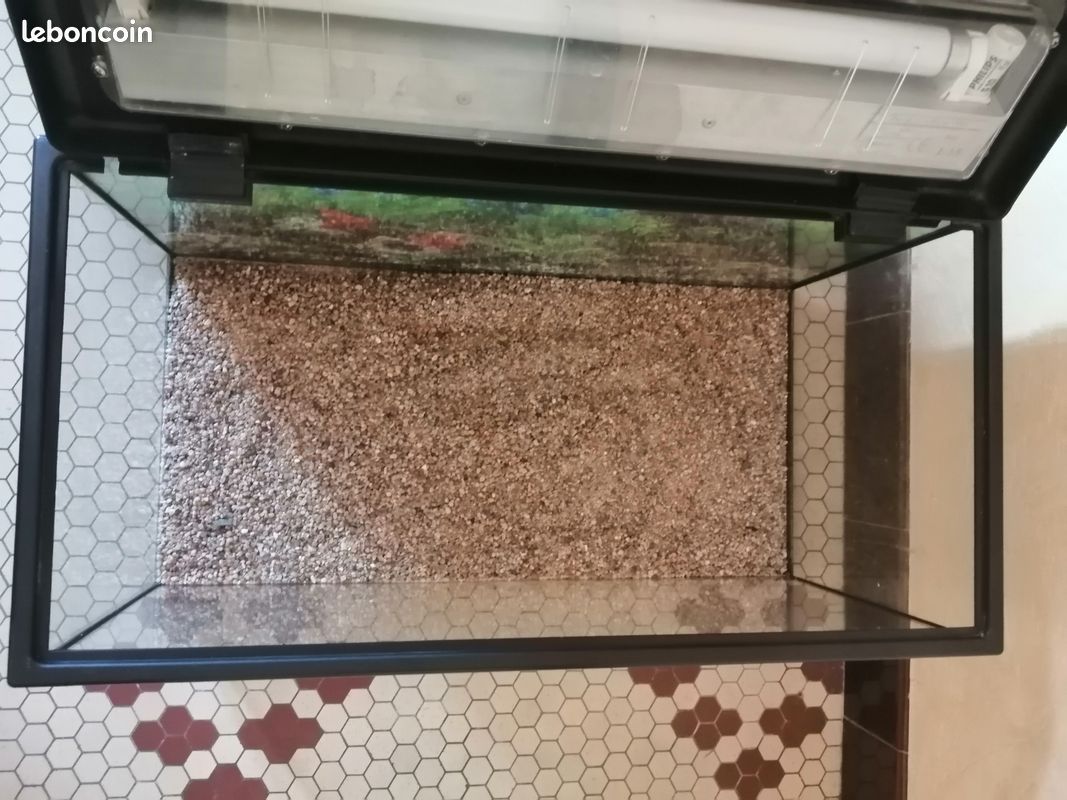 Aquarium (image 7)