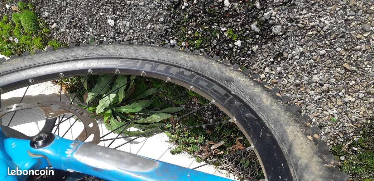Transition Patrol L 2019 (image 6)