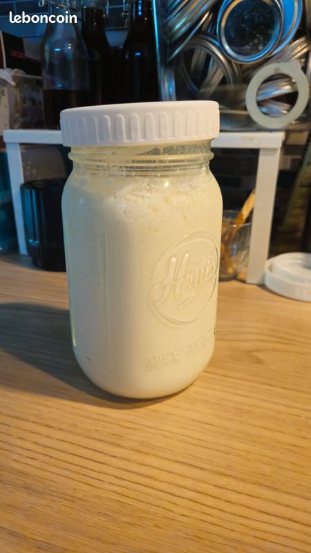 Graines de kéfir de lait (image 2)