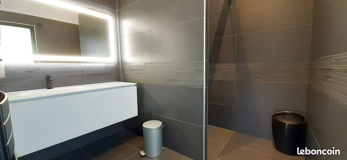 Maison 7 pièces 270 m² - Soorts-Hossegor 40150 (image principale 6)