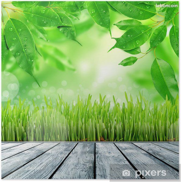 Terrain 700 m² · à Bois-l'Évêque · 75 000 €