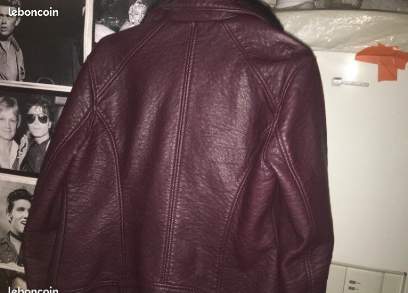 Veste similicuir Hollister (image 3)