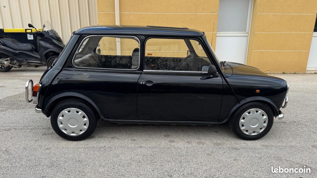 Rover Mini Sealine (image 10)