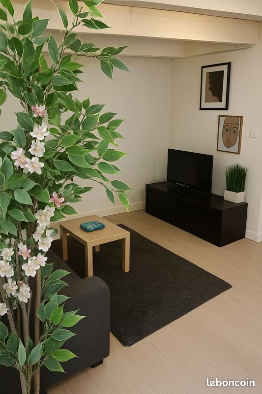 Appartement a louer schiltigheim - 2 pièce(s) - 30 m2 - Surfyn