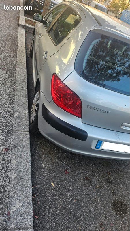 Peugeot 307 1.6 16v essence – 166 644 km – 5 portes (image 6)