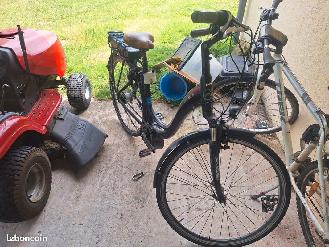 Vélo électrique Riese und Muller (image 1)