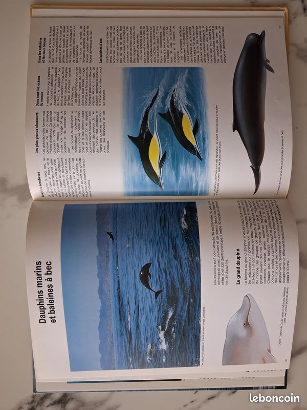 Livres animaux (image 3)
